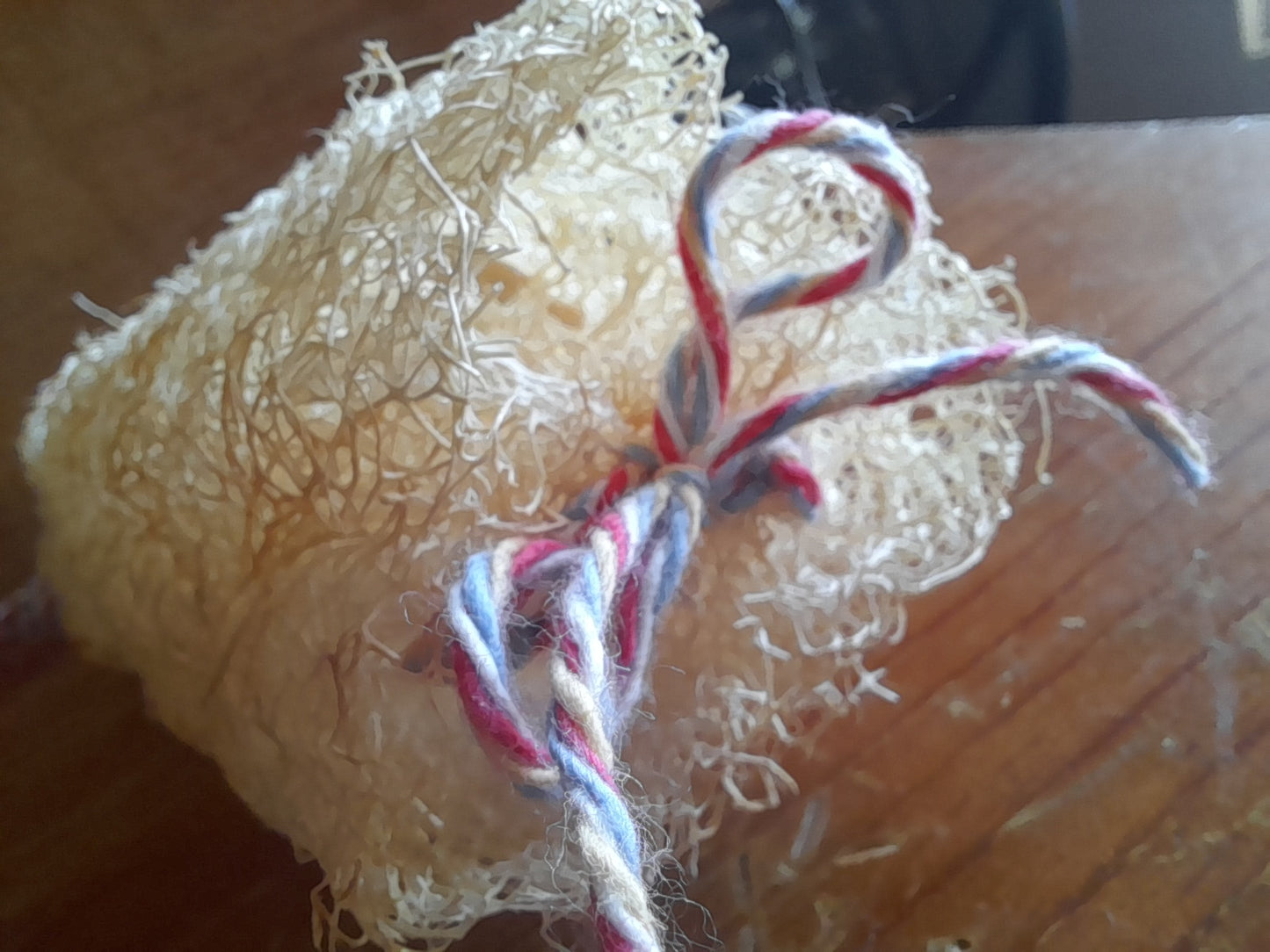 5-6" Unbleached Luffa on a String