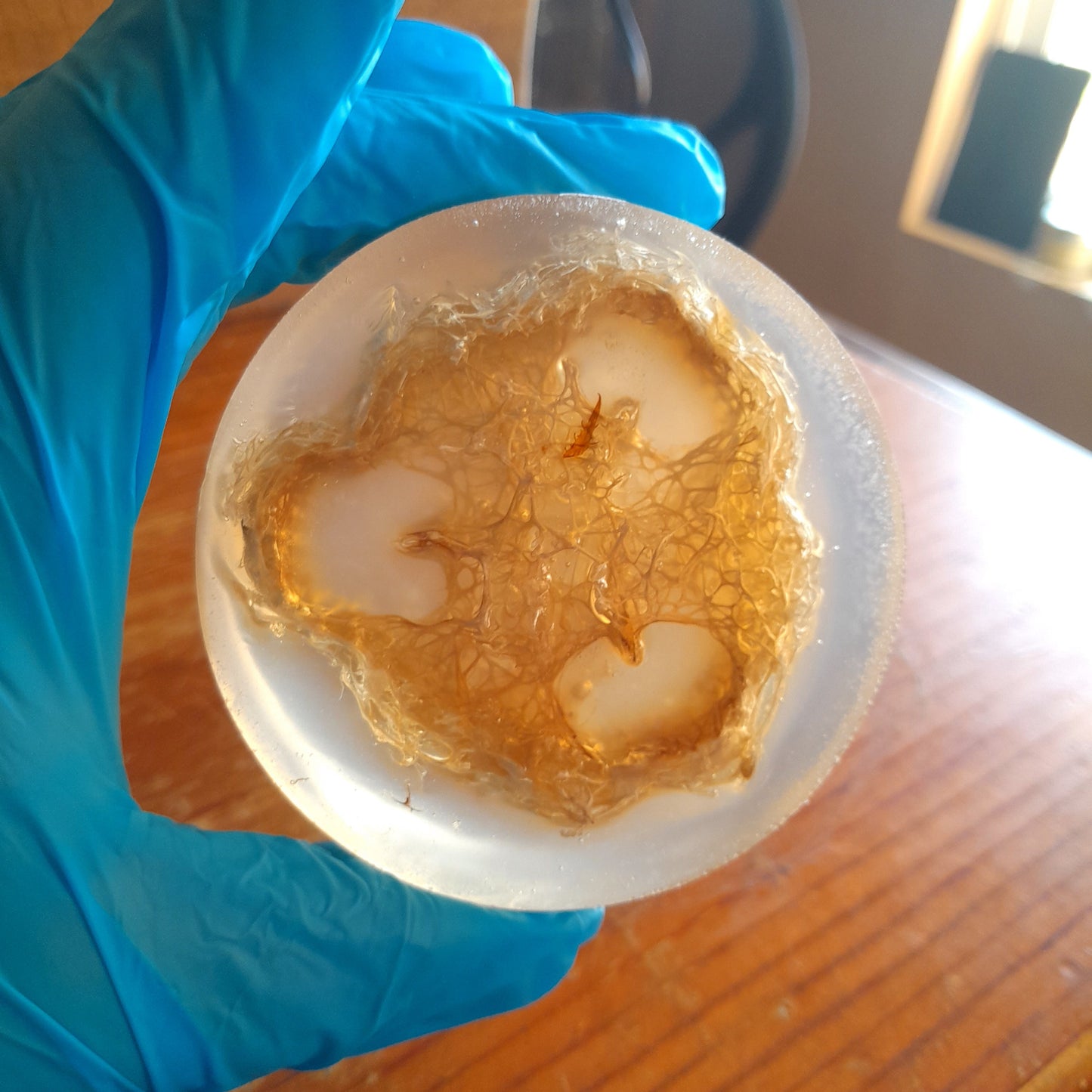 3oz Clear Glycerin Luffa Soap, Unscented