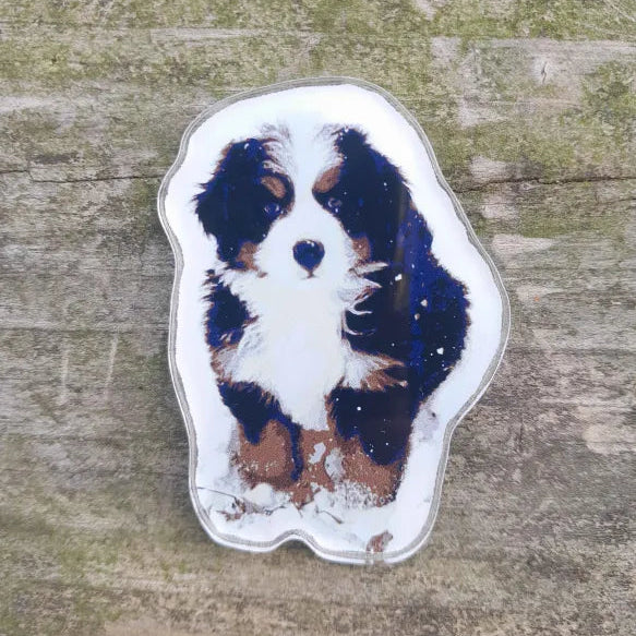 Nugget the Berner Puppy Acrylic Magnet